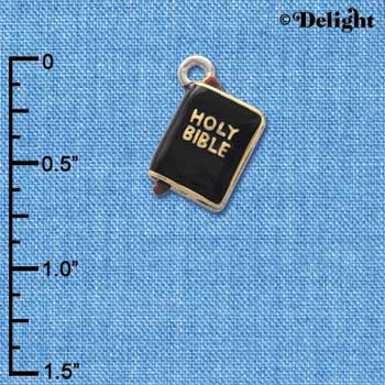 C3583 tlf - Black Bible with Gold Words - 3-D - Silver Charm